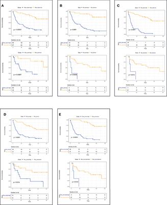 A Novel Multimodal Radiomics Model for Predicting Prognosis of Resected Hepatocellular Carcinoma